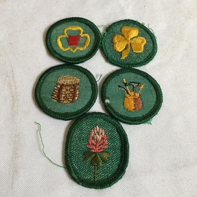 Lot 125 - Girl Scout Pins & Badges