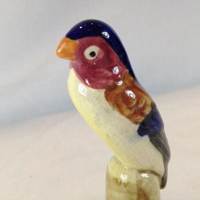 Unusual Parrot Flower Frog.