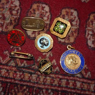 Gold Filled, Gold Tone Fraternal Pins and Tie Tacks (6)