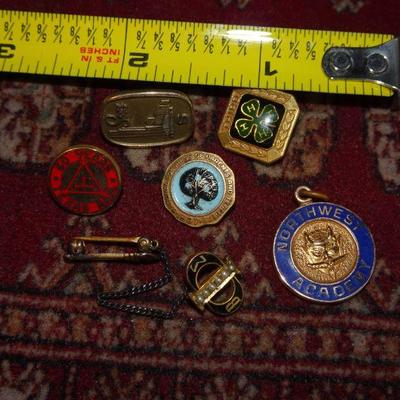 Gold Filled, Gold Tone Fraternal Pins and Tie Tacks (6)