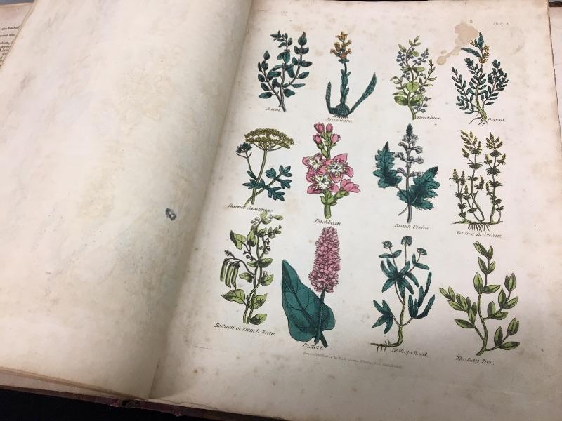 antique-book-culpeper-s-complete-herbal-medicine-guide-1823-london