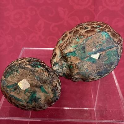 Lot 40 Quails