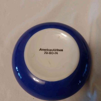American Airlines Dish