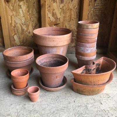 Lot 195 - Terra Cotta Pots