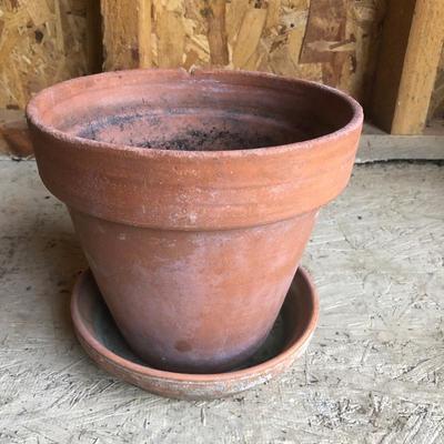 Lot 195 - Terra Cotta Pots