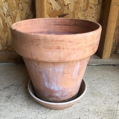 Lot 195 - Terra Cotta Pots