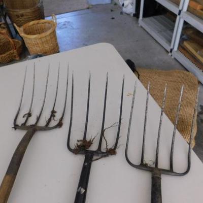 Set of Three Pitch Forks with Wooden Handles Various Length