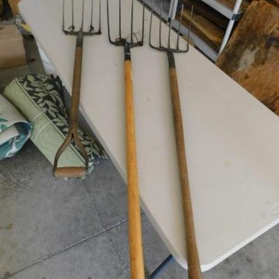 Set of Three Pitch Forks with Wooden Handles Various Length