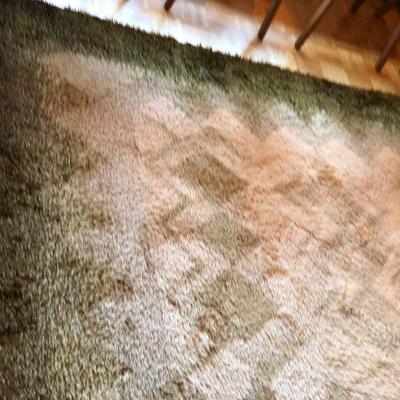 Beautiful Mid Century Rug Green and Cream