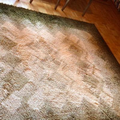 Beautiful Mid Century Rug Green and Cream