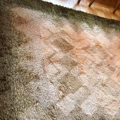 Beautiful Mid Century Rug Green and Cream