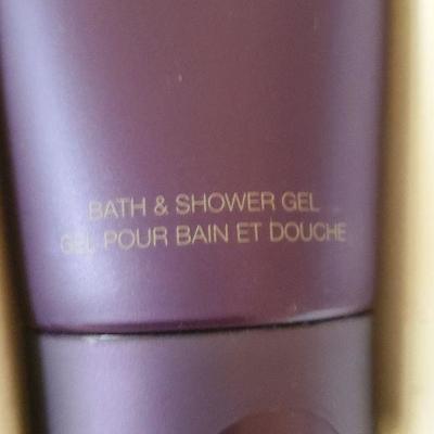 B2-15 BCBG Maxazria Perfume Box Set