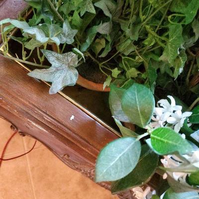 MB-     Maitland-Smith Plant Table