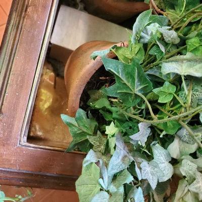 MB-     Maitland-Smith Plant Table