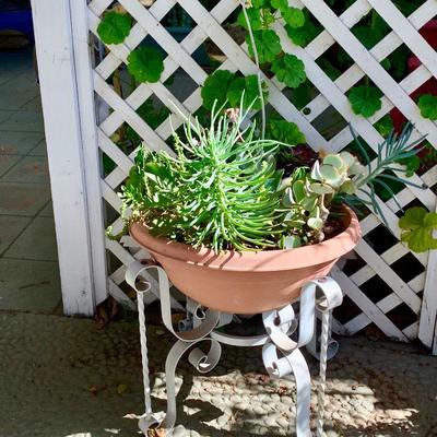 103 LARGE GROUP OF SUCCULENTS IN ANTIQUE IRON PLANTER