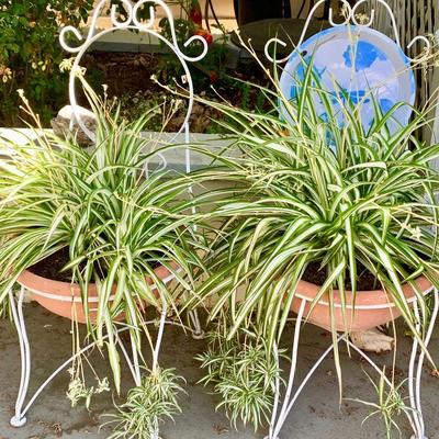 LOT 104 PAIR OF VINTAGE WIRE CHAIRS REPURPOSED AS PLANTERS!