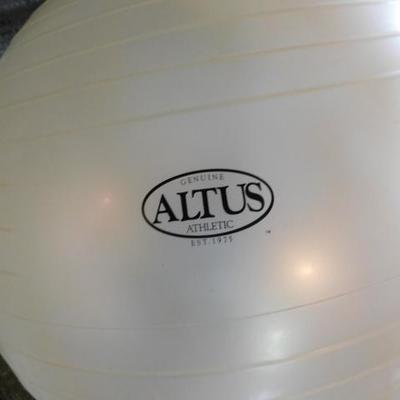 Altus Exercise Ball and a Pro-Roller