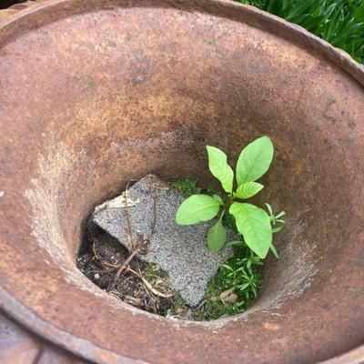Lot E1: PAIR of matching metal outdoor decorative urns