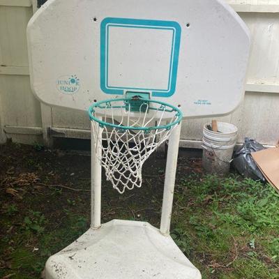 Lot S14: Poolside Basketball Net