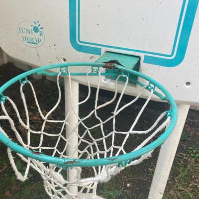 Lot S14: Poolside Basketball Net