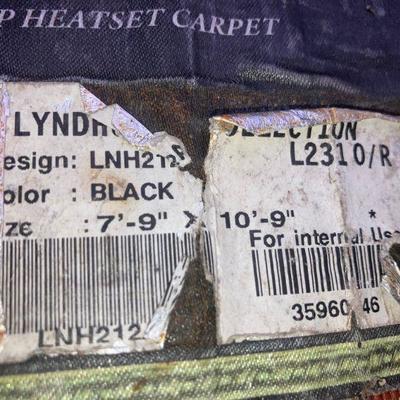 Lot S2: Beautiful Rug -  Indoor/Outdoor Carpet