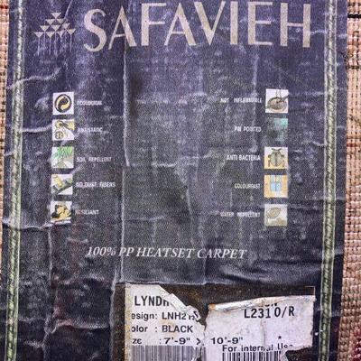 Lot S2: Beautiful Rug -  Indoor/Outdoor Carpet