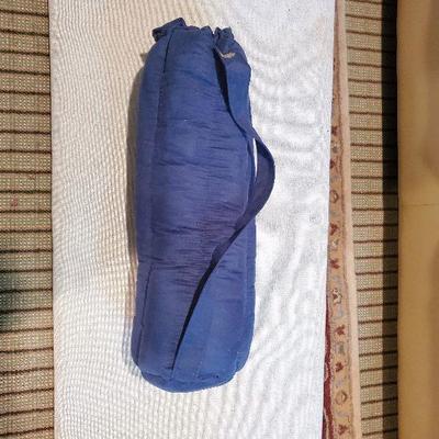 R56: Sunny Exercise Machine