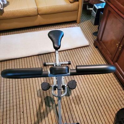 R56: Sunny Exercise Machine