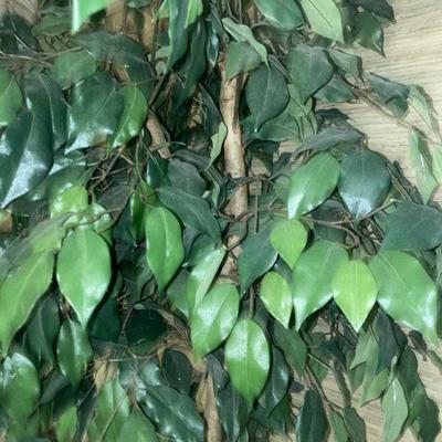 Lot B36: 6.5' tall faux tree