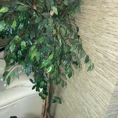 Lot B36: 6.5' tall faux tree