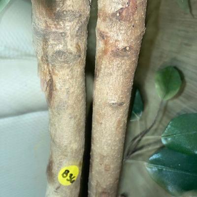 Lot B36: 6.5' tall faux tree