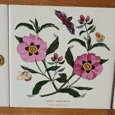 G18: Portmeirion Cheese Board/Slicer