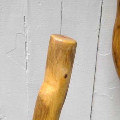 G25: Tall Walking Sticks!