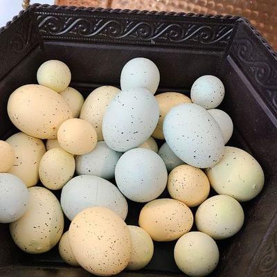 G61: Home/Planting Decor