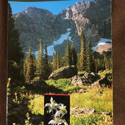 #50 Hiking the Wasatch paper back book 