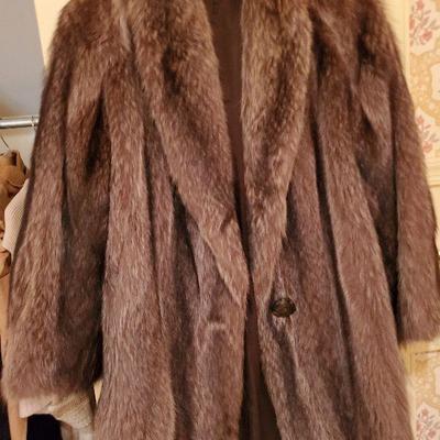 MB-231: Racoon Fur Coat