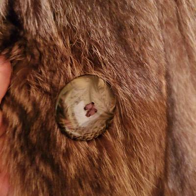 MB-231: Racoon Fur Coat