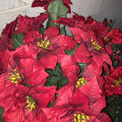 Lot B79: Poinsettia Lot
