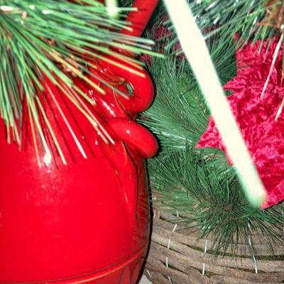 Lot B79: Poinsettia Lot