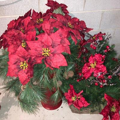 Lot B79: Poinsettia Lot