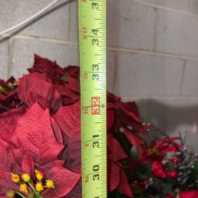 Lot B79: Poinsettia Lot