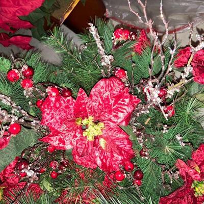 Lot B79: Poinsettia Lot
