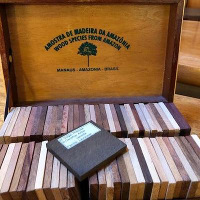 Gorgeous Amazonian Wood Box and Species Samples 