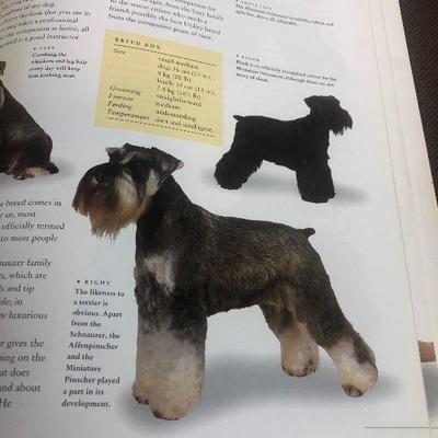 #116 Encyclopedia of DOGS breeders and care