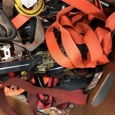 #231 Box of Ratchet Strap Tie Downs                