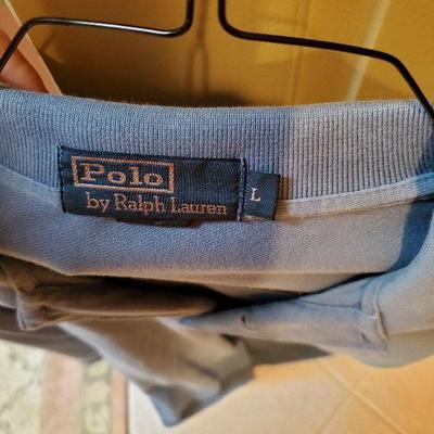 CL-17:  silk Hawaiian shirt and golf shirt lot