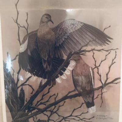 Lot 59 Doves Print by David Cavazos