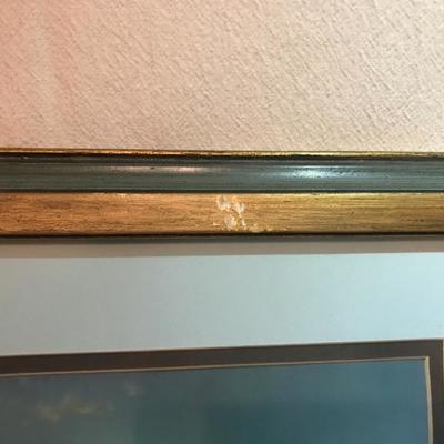 Lot 64 Windberg Framed Print