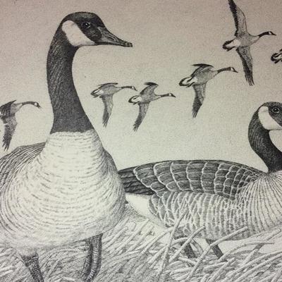 Lot 77 Bird prints by Charles Beckendorf