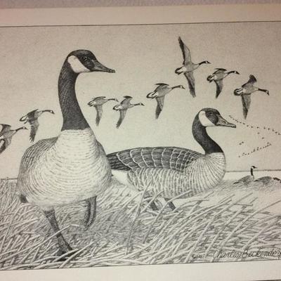 Lot 77 Bird prints by Charles Beckendorf